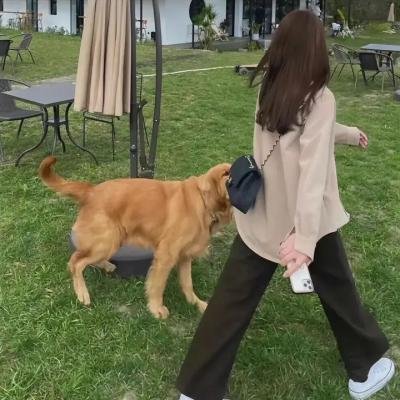 我们是演员